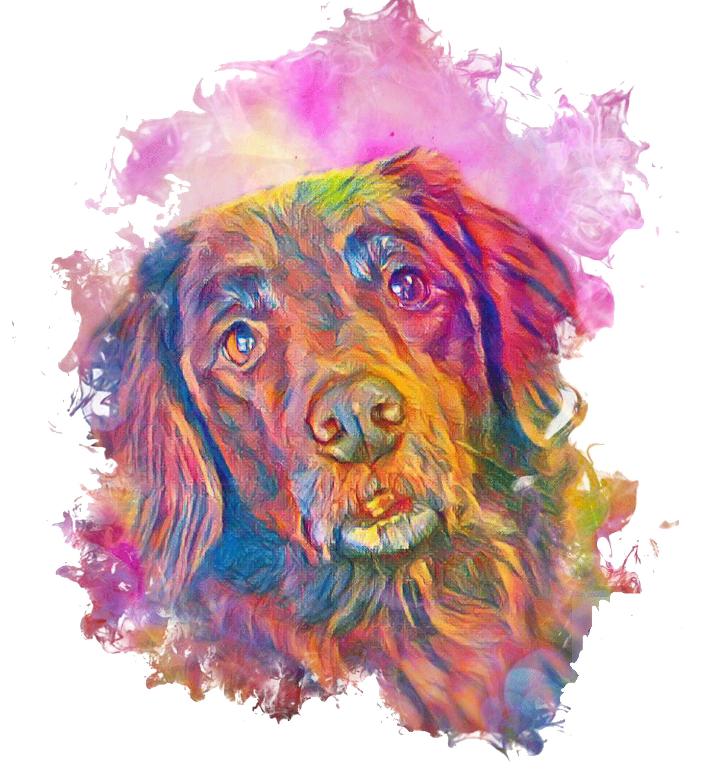 Soulmate Grooming Studio